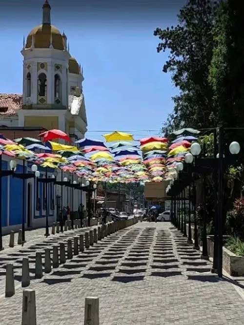 guacara-(1)