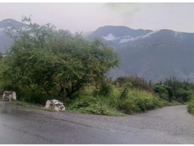 Terreno en Venta – Los Llanitos – Mérida
